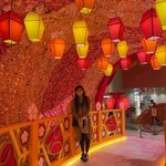 Connie Tong - @connie.tong - Instagram