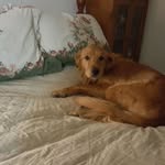 Connie Troup - @troup_connie - Instagram