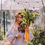 Connie 🌿 Urban Gardening - @gardenwithconnie - Instagram