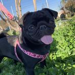 Connie Vera - Facebook