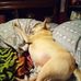 Connie Wade - Facebook
