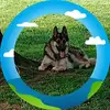 Connie Wade - @connie.wade5 - TikTok