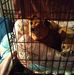Connie Wade - Facebook