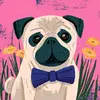 Connie Walker - @connie.walker26 - TikTok