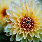 Connie Wall - Facebook