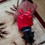 Connie watts - @conniewatts273 - Instagram