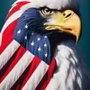 Connie Willard - @connie.willard - TikTok