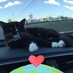 Connie Williamson - @connie.williamson913 - Instagram