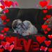 Connie Williamson - Facebook
