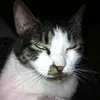conniewilliamson24 - @conniewilliamson24 - TikTok