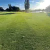 connoradams_ - @connoradams_ - TikTok