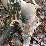 Connor Ayers - @connorayers615 - Instagram