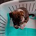Connor Baker - Facebook