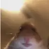 Connor - @connor_barry - TikTok