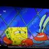 spongebob - @connorbartlett05 - TikTok