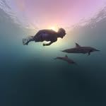 Connor Bates - @connor.bates127 - Instagram