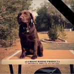 Connor Bishop - Facebook