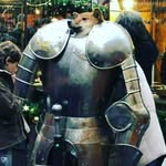 Connor Blythe - @connorblythe2004 - Instagram