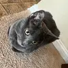 connorbolin505 - @really_awesome_cool - TikTok