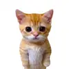 Conor bolin - @conor.bolin - TikTok