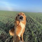 Connor Bowman - Facebook