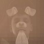 Connor Bowman - @connor.bowman19 - Instagram
