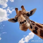 Connor Brackett - @iamconnorbrackett - Instagram