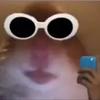 Hamsters follow me - @connorbrophy - TikTok
