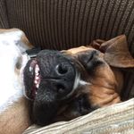 Connor - @connor_browne_ - Instagram
