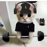 Connor Cairns - @connor.cairns2009 - Instagram