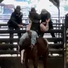 IMissMyMullet - @connor_chandler0 - TikTok