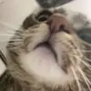 connor - @connorchuu - TikTok