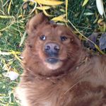 Connor_Decker - @connor_decker321 - Instagram
