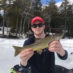 Connor Dempsey - @connordempsey23 - Instagram