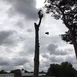 Connor Dempsey - @connor_dempsey97 - Instagram
