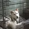 connordempsey22210 - @connordempsey2221 - TikTok