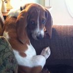 Conner Dombrowski - Facebook