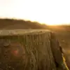 Conner Duke - @connerduke939 - TikTok