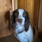Connor Duke - @connor_duke29 - Instagram