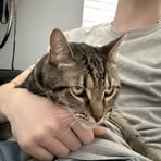 Connor Dwyer - Facebook