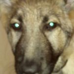Connor Dyer - @connor.dyer.12576 - Instagram