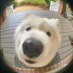 Connor Dyer - @conn_dyer - Instagram