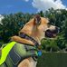 Conner Fair - Facebook