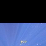 Connor Finch - Facebook
