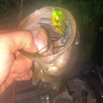 Connor Finch - Facebook