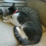 Connor Gaffney-Noonan - @connorgaffneynoonan - Instagram