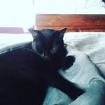 connor william gaines - @connorwilliamgai - Instagram
