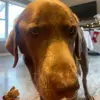 conner goodwin - @conner.goodwin6 - TikTok