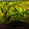 connor.hamel - @connor.hamel - TikTok