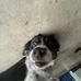Conner Hanlon - Facebook